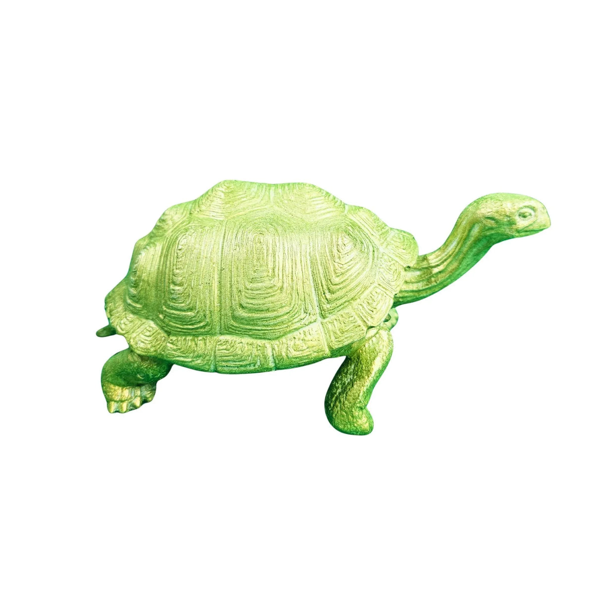 Large Turtle in Epoxy Resin Wholesale