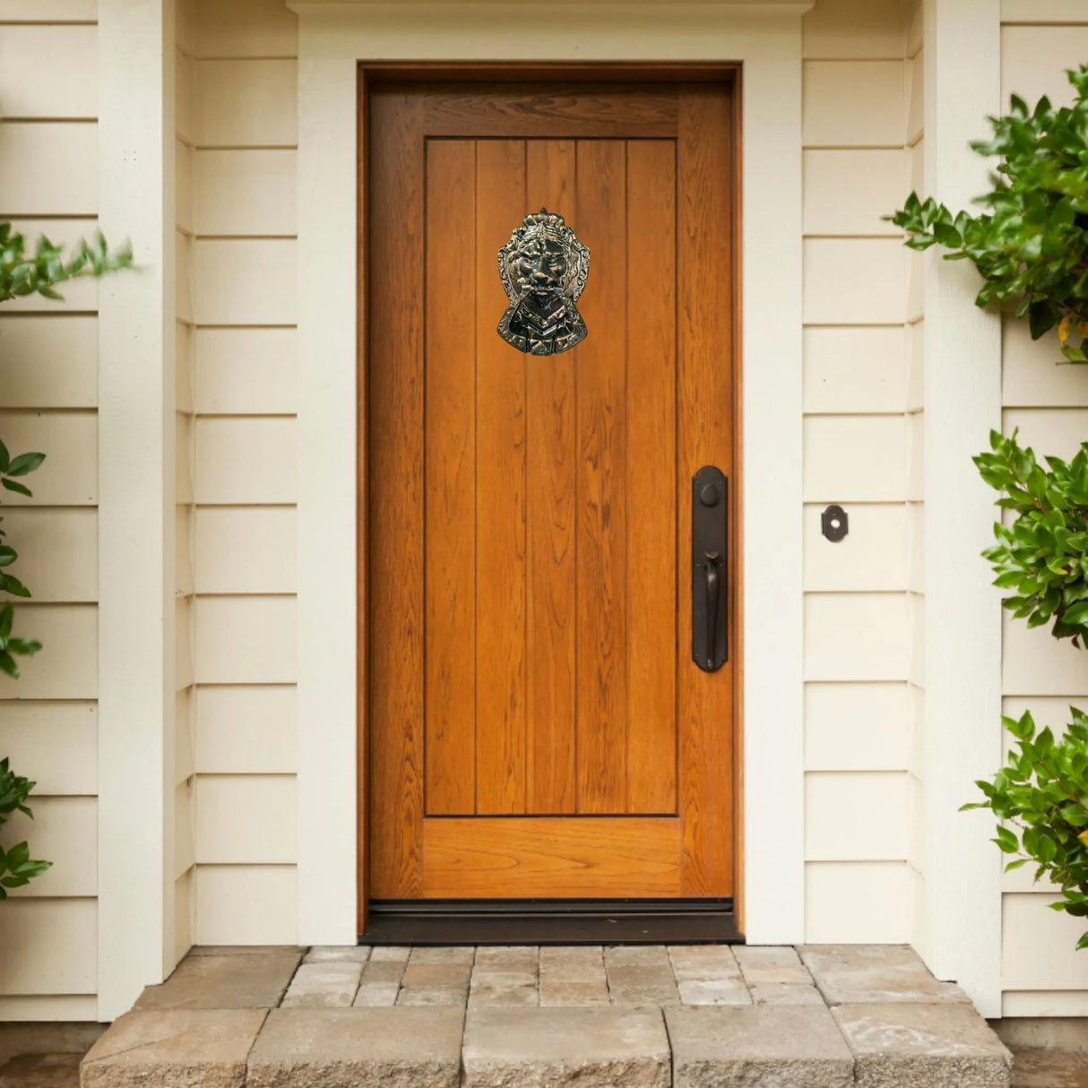 Aldaba de León en Resina Epoxica #2