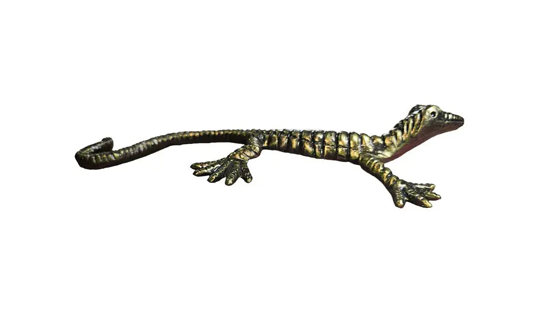 Aluminum Lizard right side