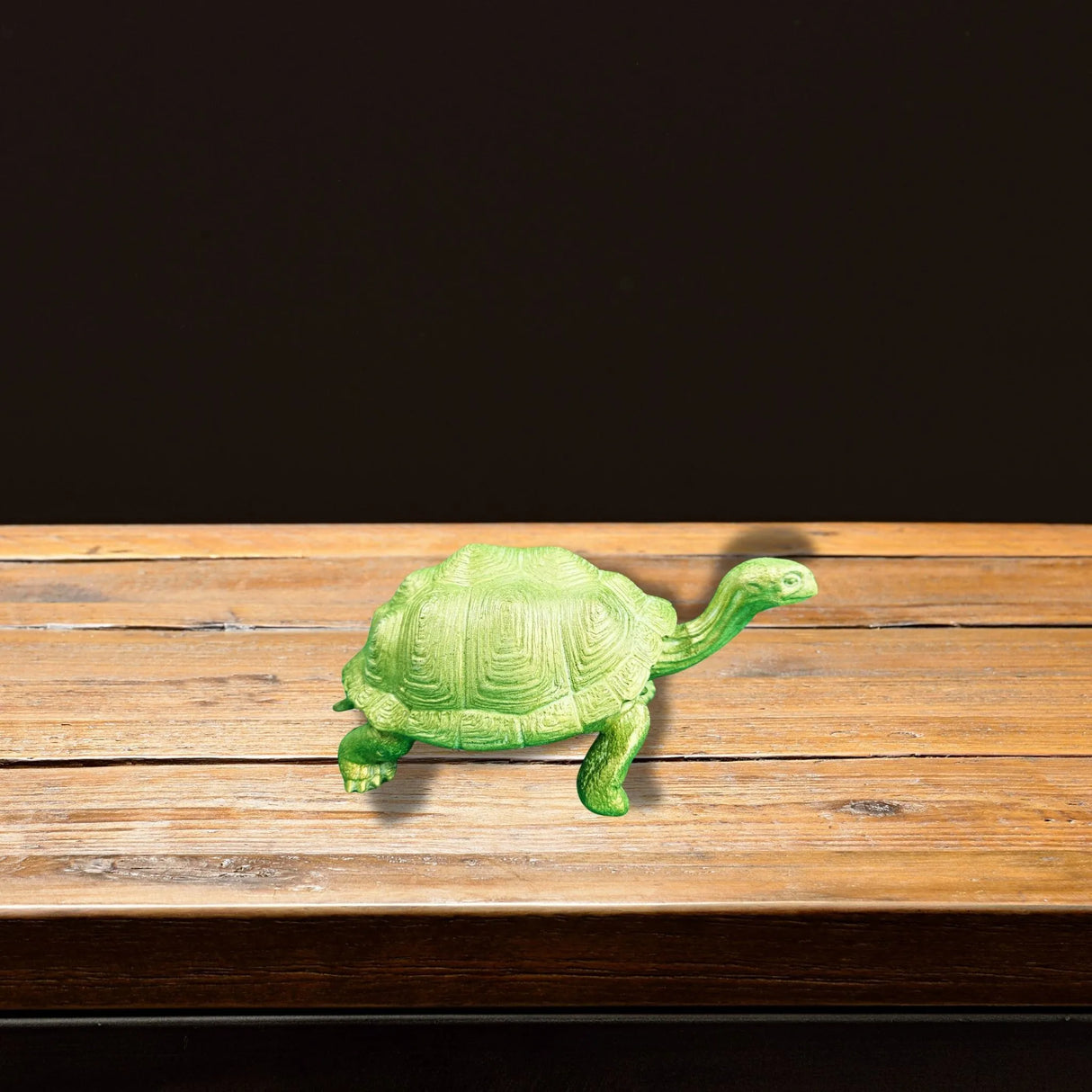 Large Turtle in Epoxy Resin
