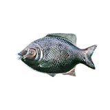 Large Epoxy Resin Decorative Fish