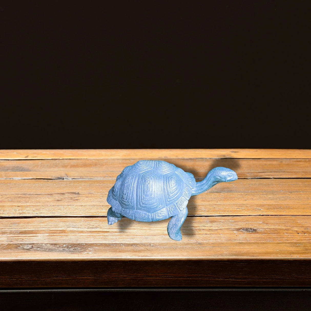 Large Turtle in Epoxy Resin