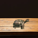 Large Turtle in Epoxy Resin