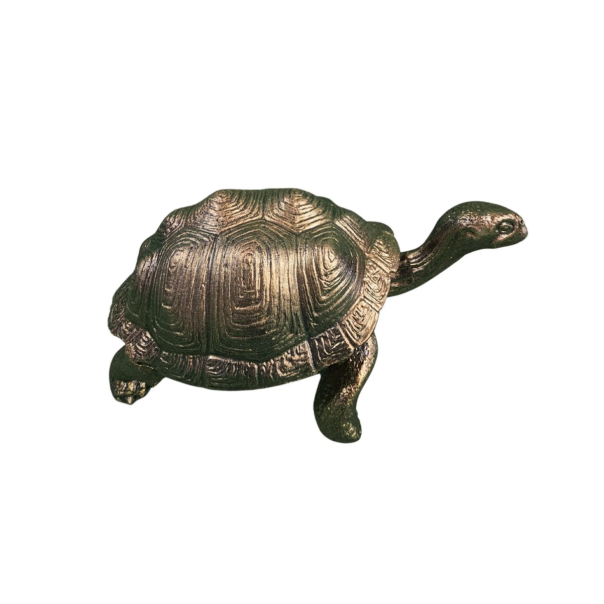 Large Turtle in Epoxy Resin