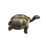 Large Turtle in Epoxy Resin