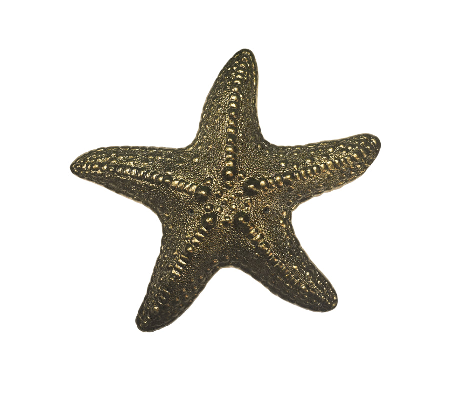 Wall Mounted Starfish in Epoxy Resin with Metallic Finish