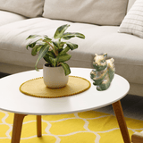 Squirrel with Acorn Figure in Epoxy Resin