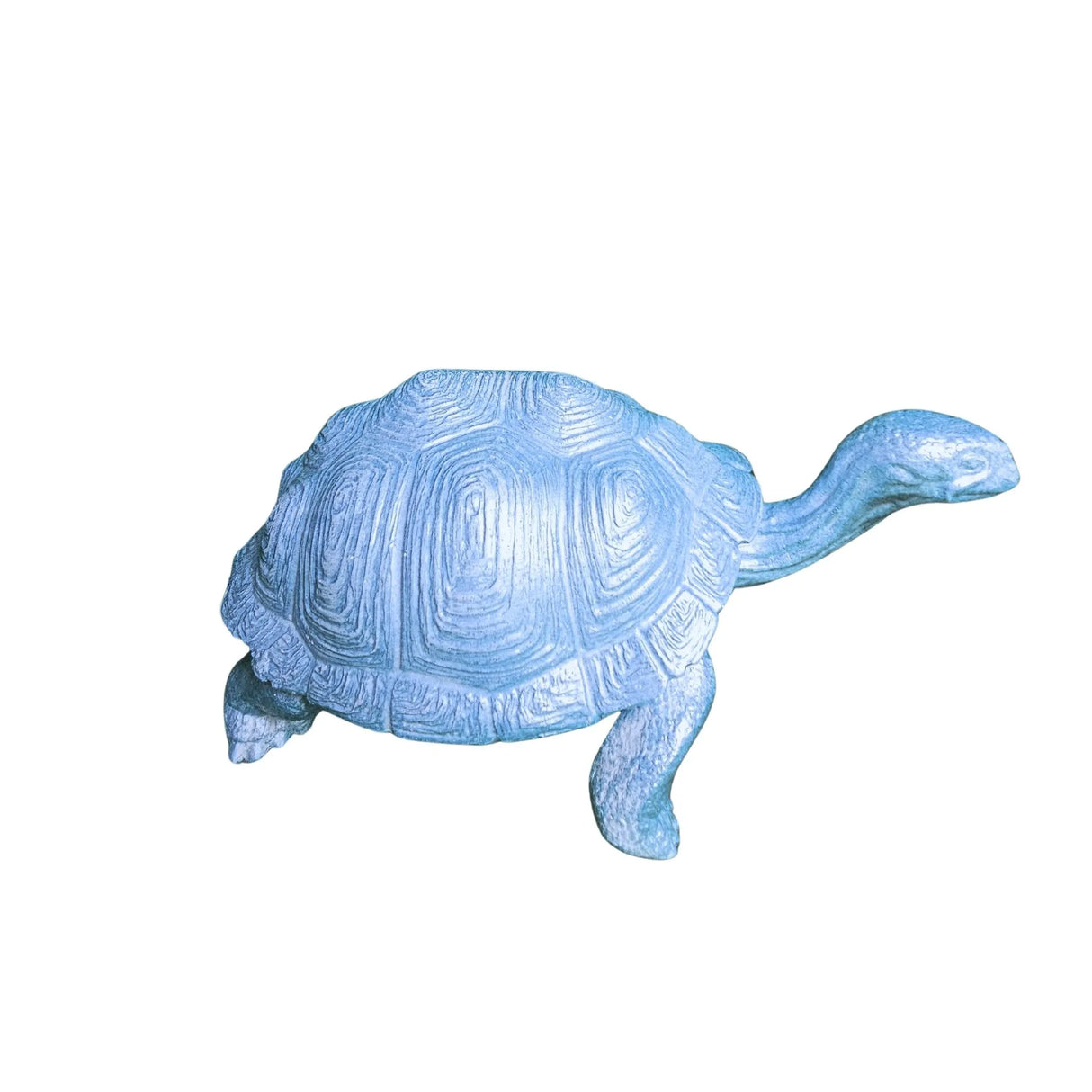 Large Turtle in Epoxy Resin