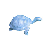Large Turtle in Epoxy Resin