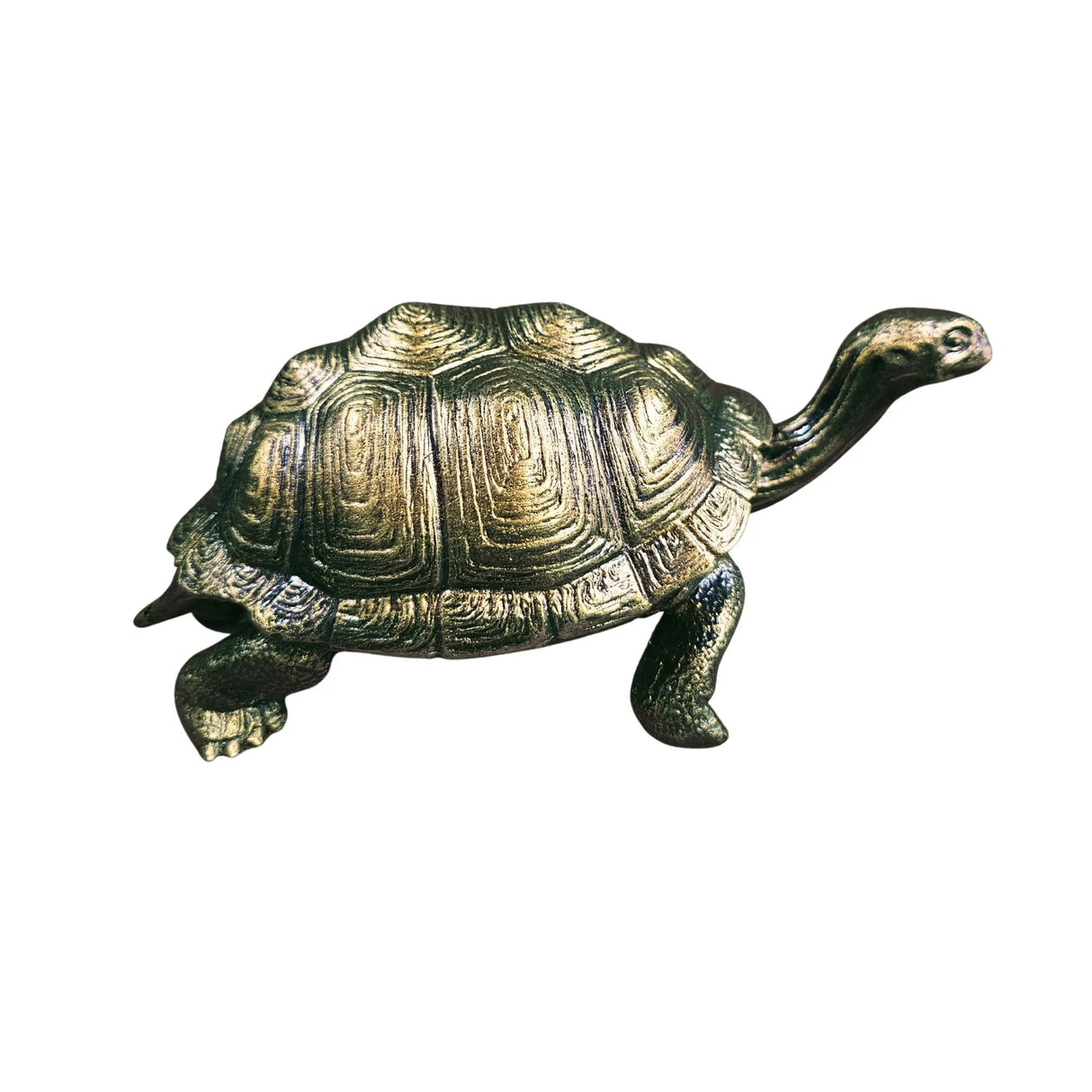 Large Turtle in Epoxy Resin