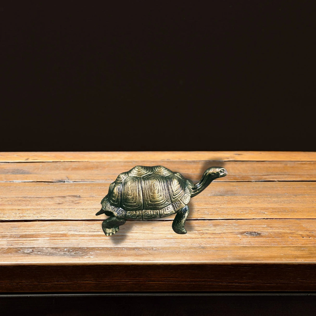 Large Turtle in Epoxy Resin