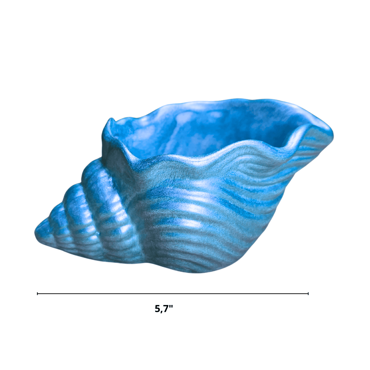 Decorative Epoxy Resin Sea Snail