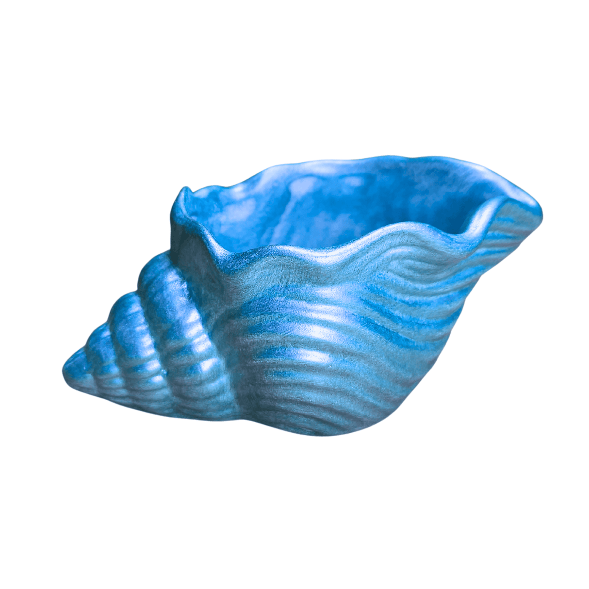 Decorative Epoxy Resin Sea Snail